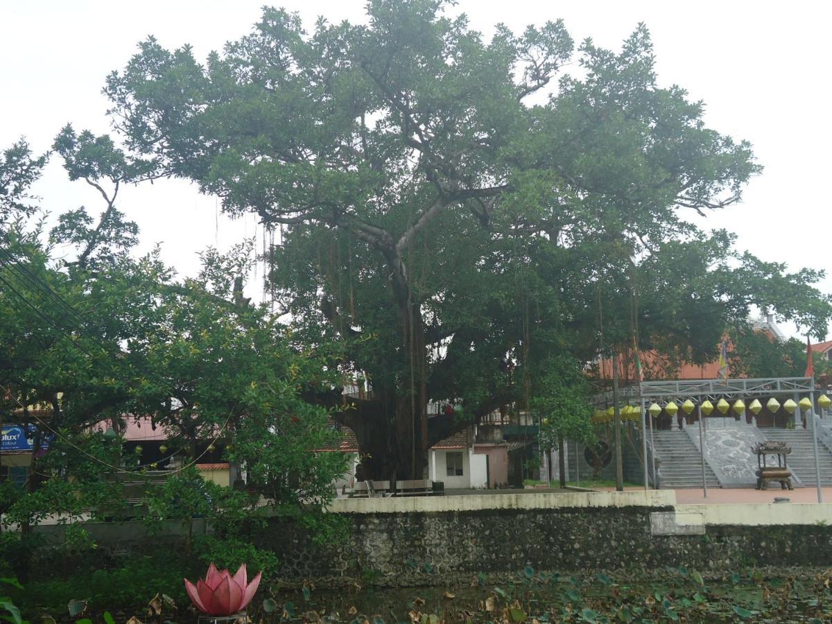 Green Space Homestay Ninh Binh Exterior foto