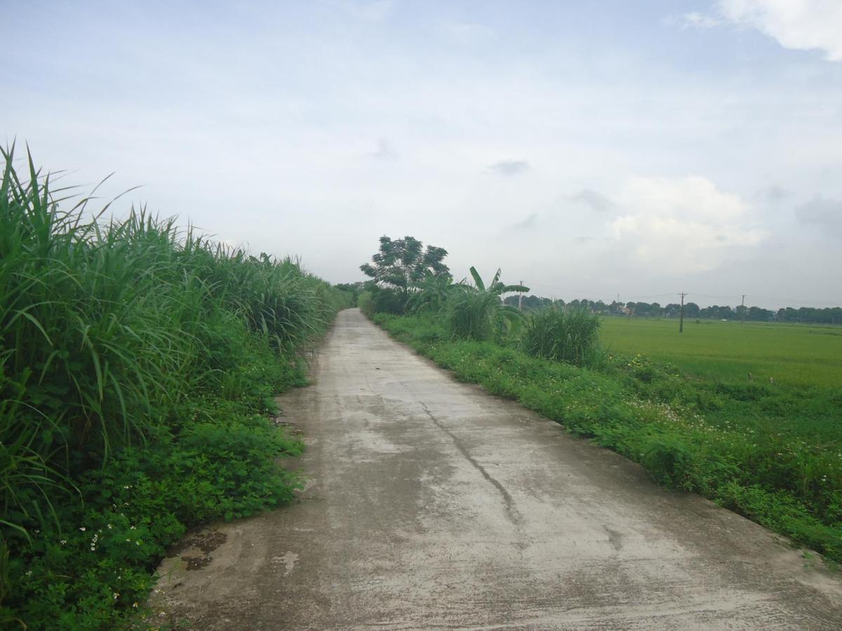 Green Space Homestay Ninh Binh Exterior foto