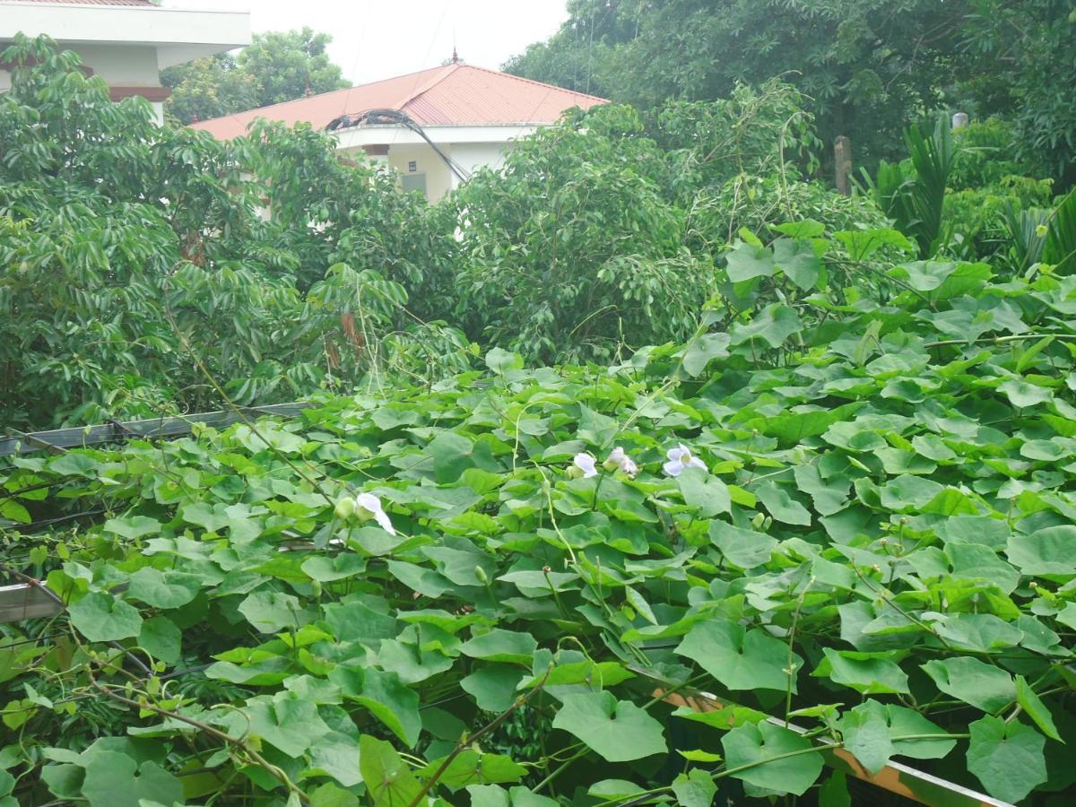 Green Space Homestay Ninh Binh Exterior foto